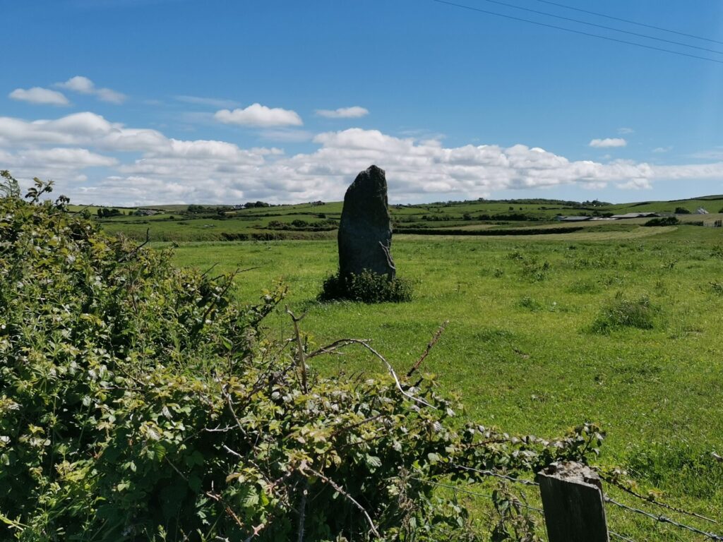 A standing stone seen over hedge on Anglesey