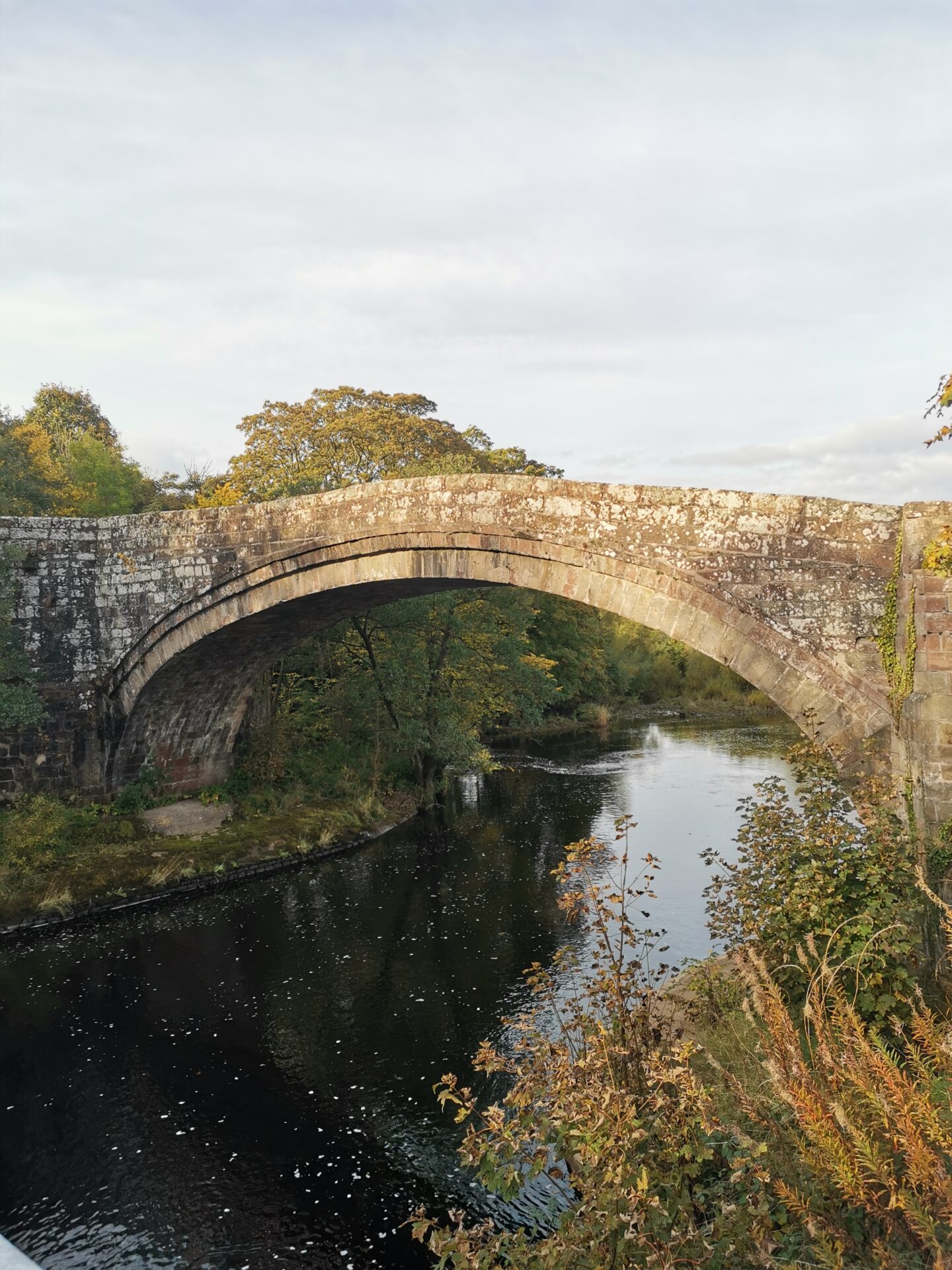 A delicate arched old bridge
